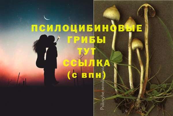 гидропоника Богородск
